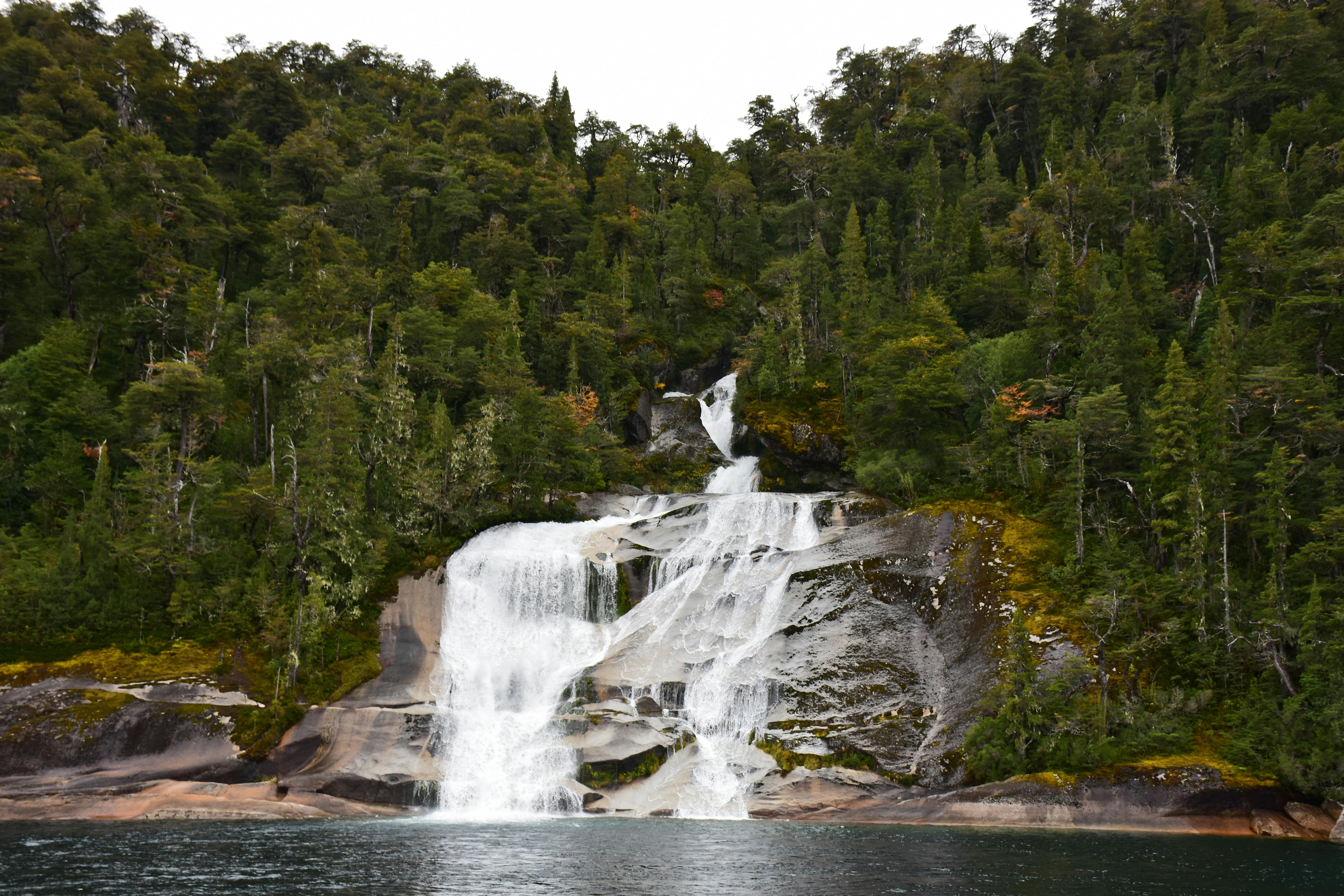 Munnar Alleppey Honeymoon Packages: A Romantic Getaway in the Hills and Backwaters - 4