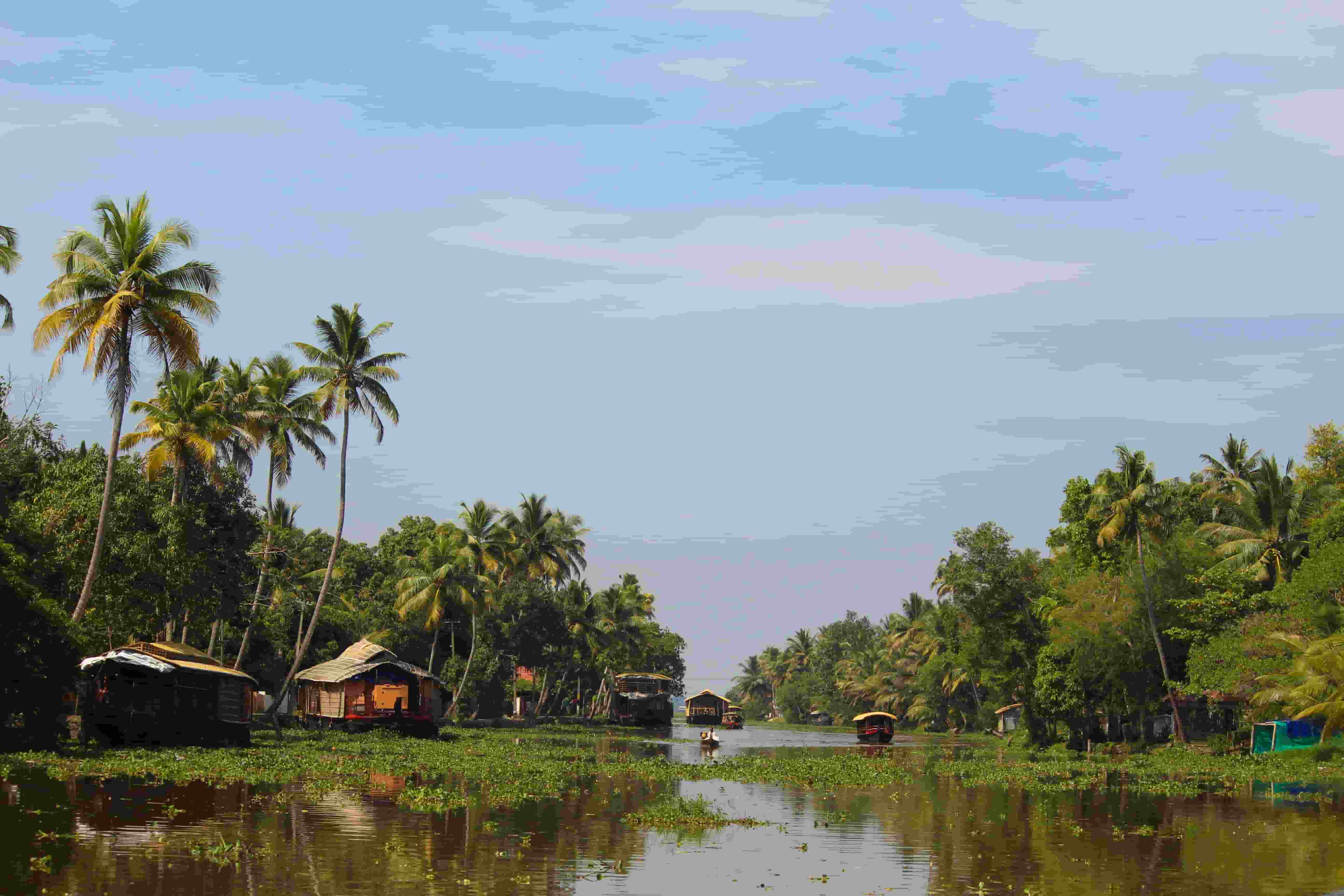 Kerala Honeymoon Packages from Delhi: A Romantic Getaway to Munnar and the Backwaters - 3