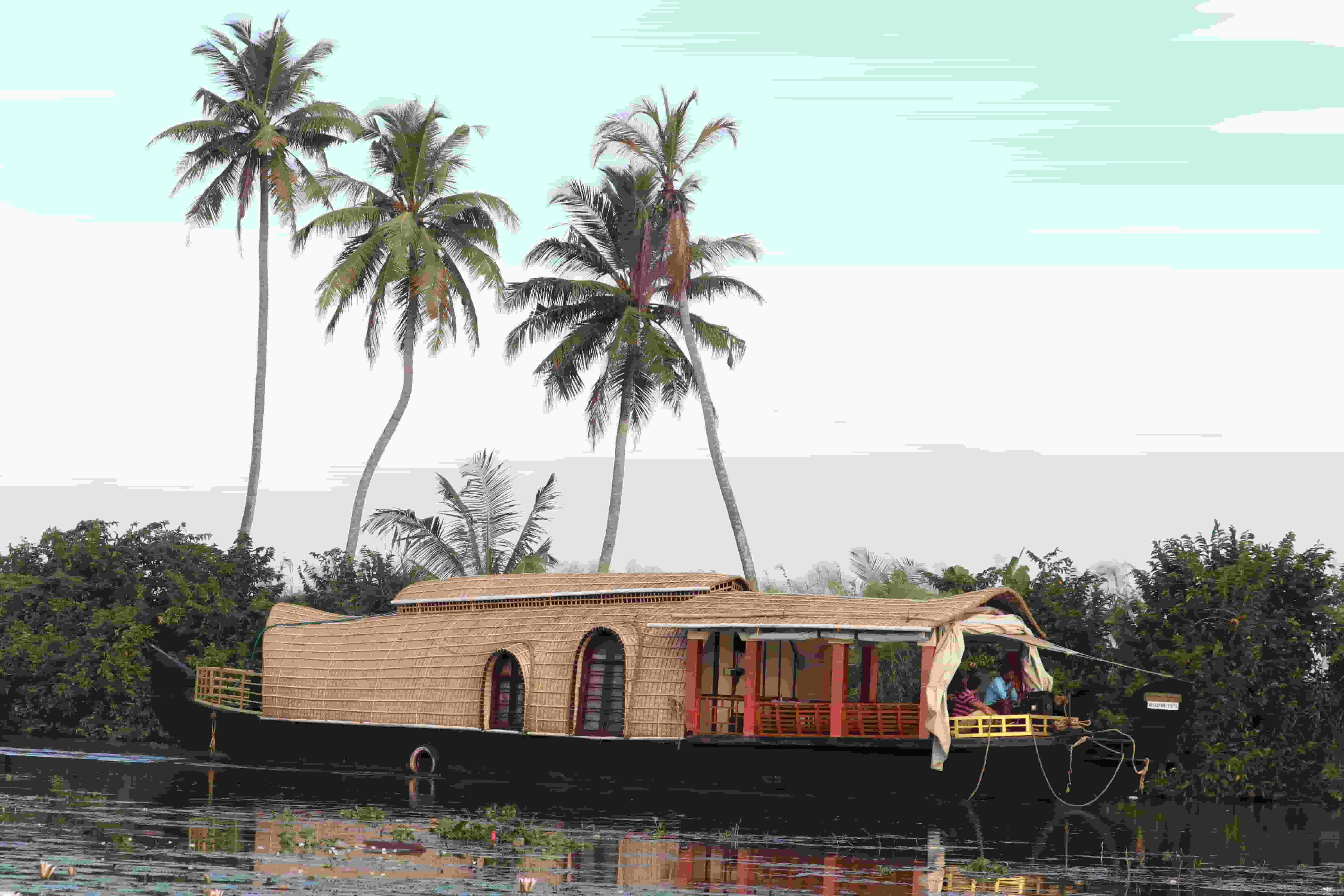 Kerala Munnar Tour Packages | Misty Hills & Calm Backwaters - 2