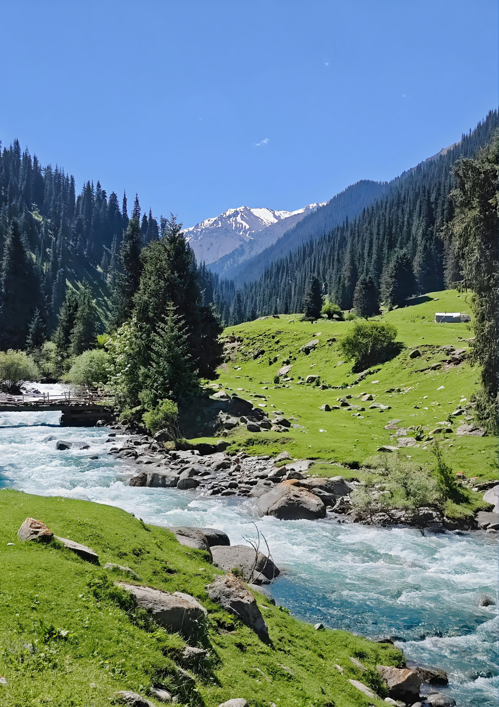 Kashmir