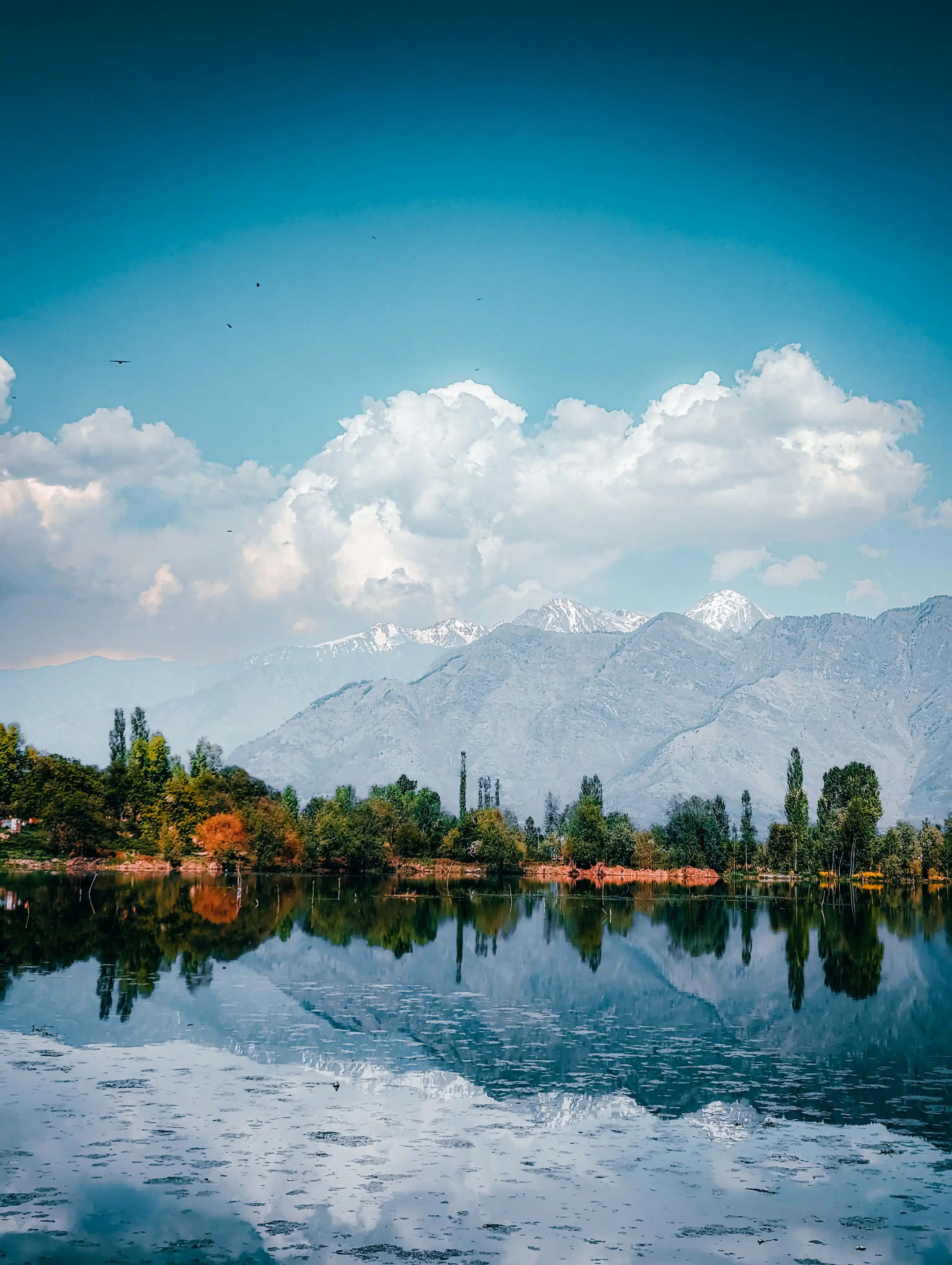 Kashmir