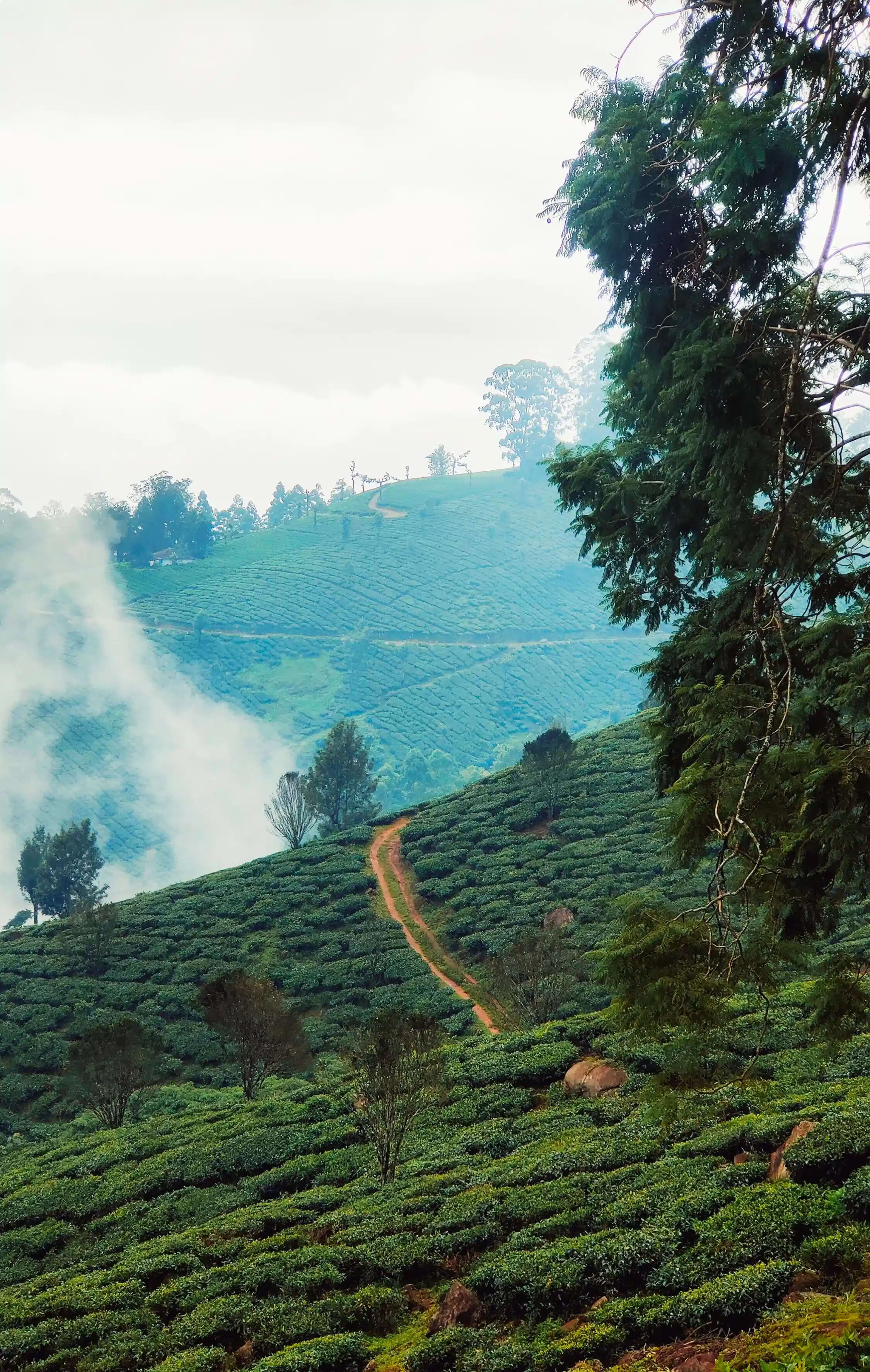 Kerala