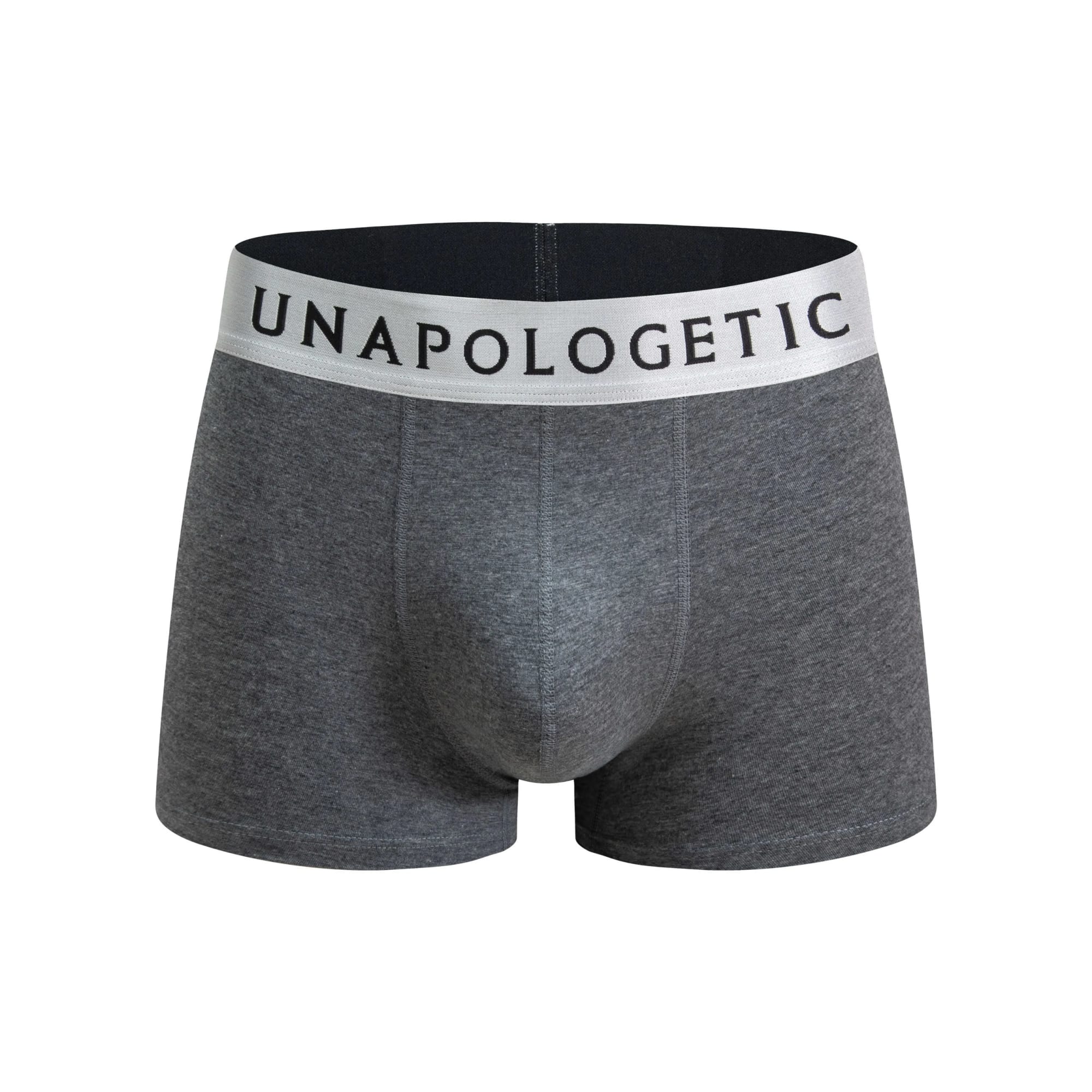 BigBand Boxer Briefs (Grey Pack) thumbnail 2