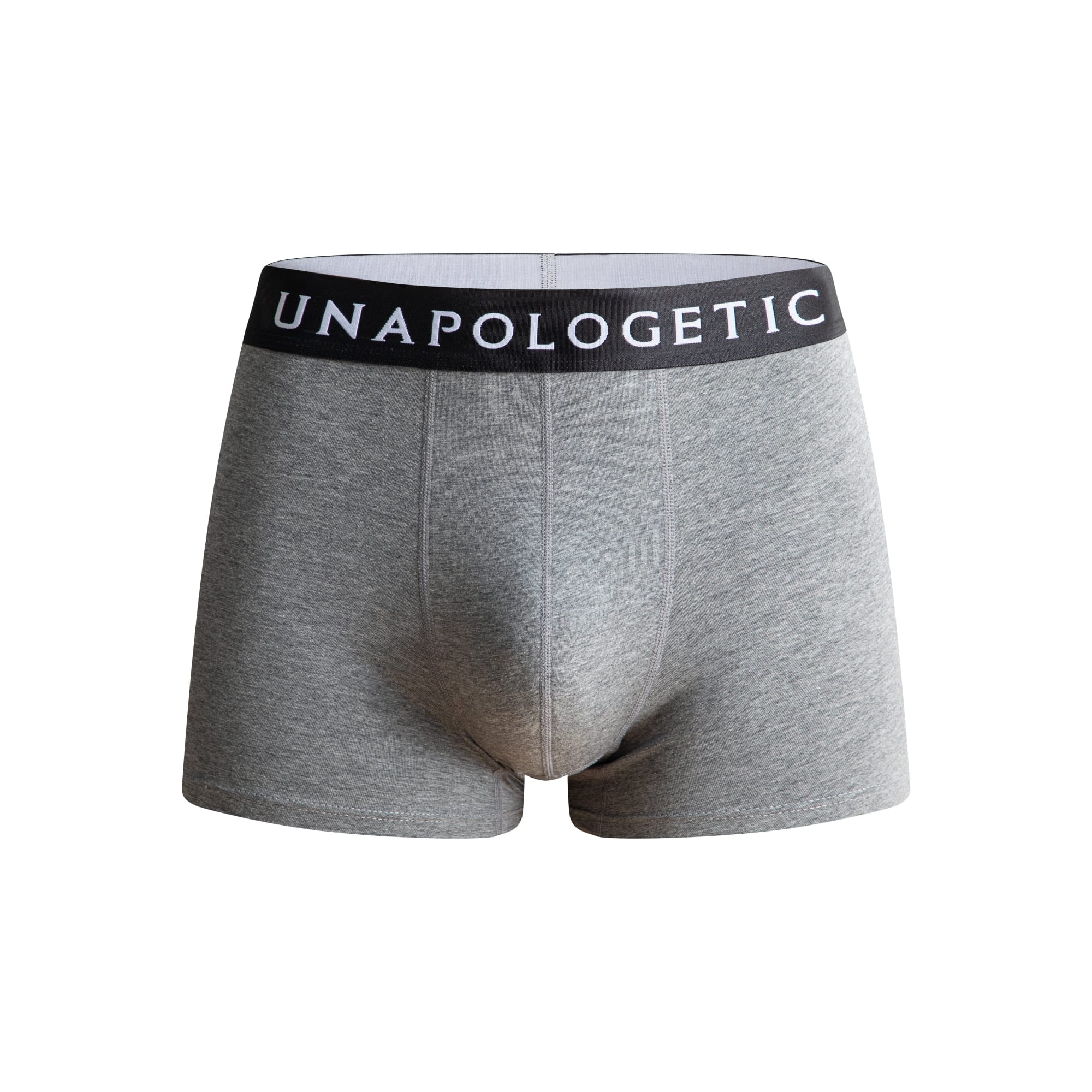 BigBand Boxer Briefs (Grey Pack) thumbnail 6