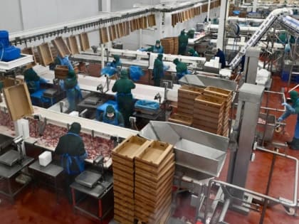 На птицефабрике в Инжавино открыли производство продукции для сети «ROSTIC´S»