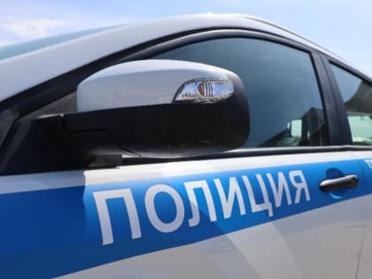 Попытка дачи взятки инспектору ДПС в Тамбовской области