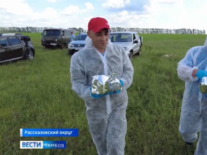 С начала года в регионе зафиксировали 24 случая заболевания бешенством