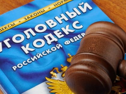 Мичуринец отправится в колонию за незаконное приобретение наркотических средств