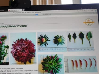 Ученые Мичуринска представили новые сорта на включение в госреестр