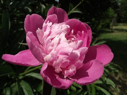 Начало лета обещает быть теплым