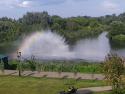 В Тамбове жара превысит отметку в 30 градусов