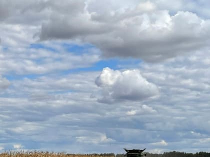 В регионе усилили контроль за противопожарным состоянием сельхозпредприятий