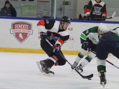 Молодые «волки» сразились с хоккеистами Боброва