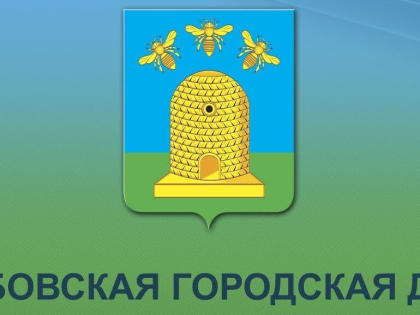 Большинство депутатов Тамбовской городской Думы («Родина» + «ЕР») довольны состоянием дорог в г. Тамбове