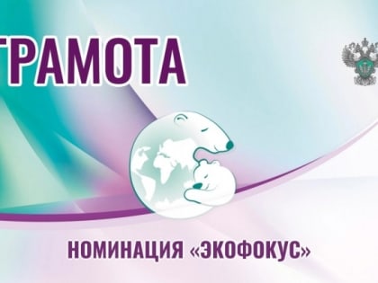 Мичуринцы получили сертификаты международной детско-юношеской премии