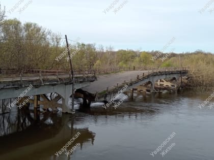 В Уварове обрушился старый бетонный мост через реку Ворона