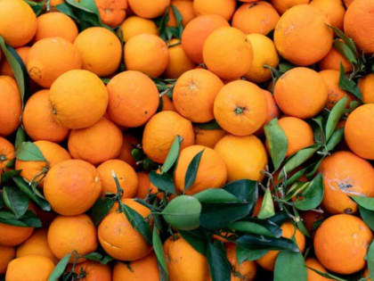 Цены на продукты питания продолжают расти