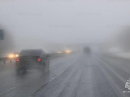 В Тамбове ожидается сильный туман, снег с дождём и гололедица