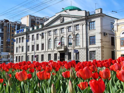 Проекты тамбовских студентов стали победителями грантового конкурса Росмолодёжи
