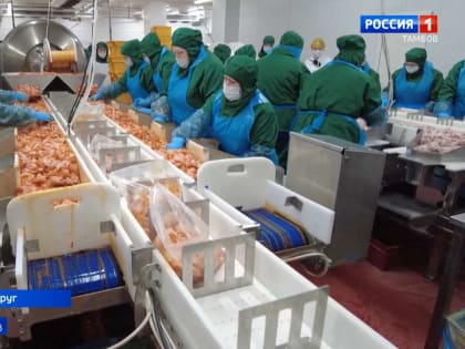 В Инжавине дали старт производству продукции для «Ростикса»