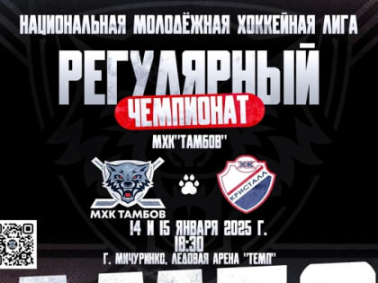 Первые игры в новом году мололые «волки» проведут дома