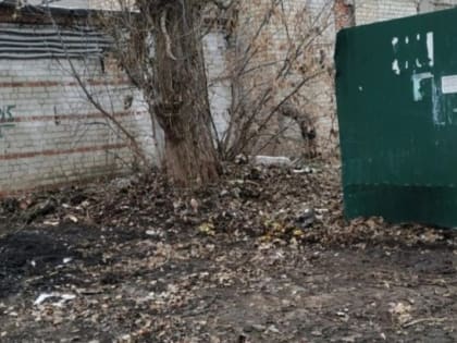 В Мичуринске ликвидируют стихийные свалки
