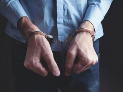 В областном центре задержали подозреваемого в серии дачных краж