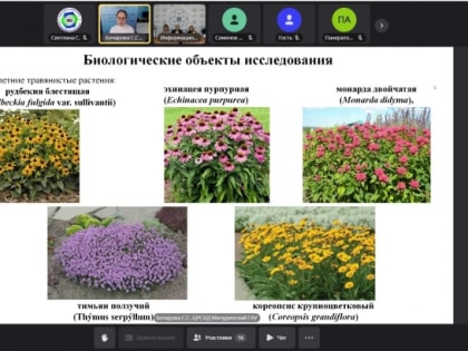Исследование мичуринской школьницы оценили на «Агрочтениях»