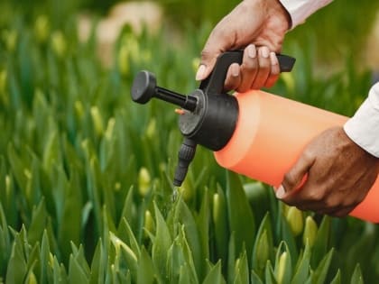 Тамбовчанин совершил кражу на рабочем месте