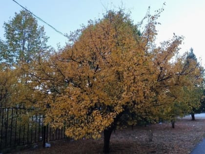 Ненастная погода ожидается в Тамбовской области