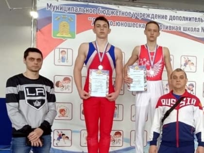 Мичуринские гимнасты успешно выступили в Котовске