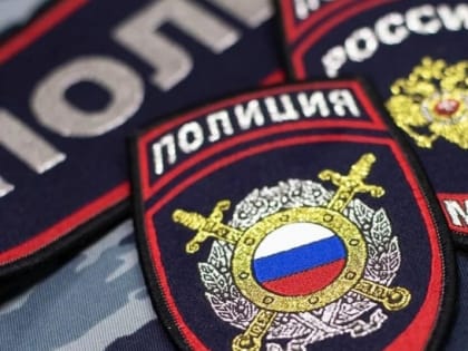 Криминальные сводки города: грабеж, кража,  мошенничество