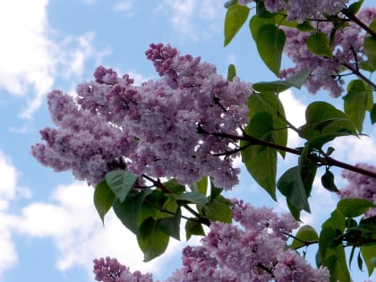 Прогноз погоды на первые майские праздники