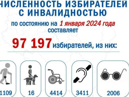 Избирком Тамбовской области поможет инвалидам проголосовать на президентских выборах