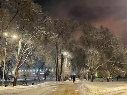 В Тамбове весна временно отступит