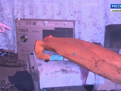 В Сосновском округе сын зарезал отца