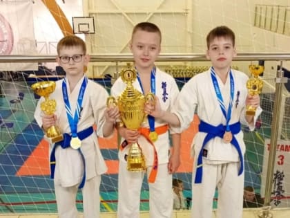 Каратисты из Мичуринска отличились на Первенстве Ленинградской области
