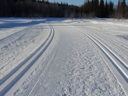 «Быстрые гепарды» встретятся на лыжне