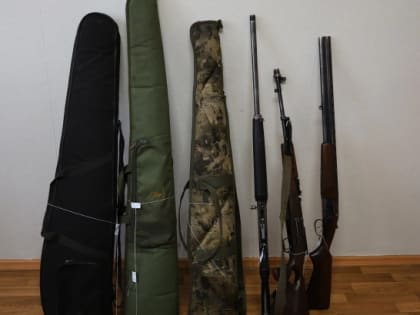 Незаконная охота: кабан оказался лосем