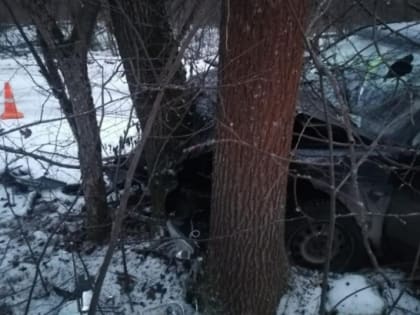 После «встречи» с деревом водитель и пассажир отправились в больницу