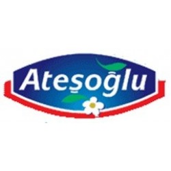 Atesoglu logosu