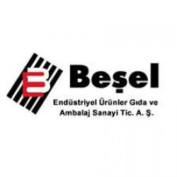 Besel Min logosu