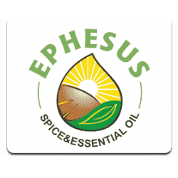Ephesus Min logosu