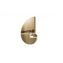 Gentas logosu