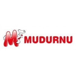 Mudurnu logosu