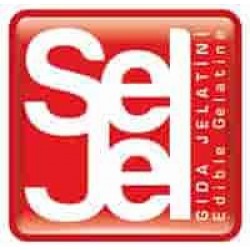 Sel Sanayi Min logosu