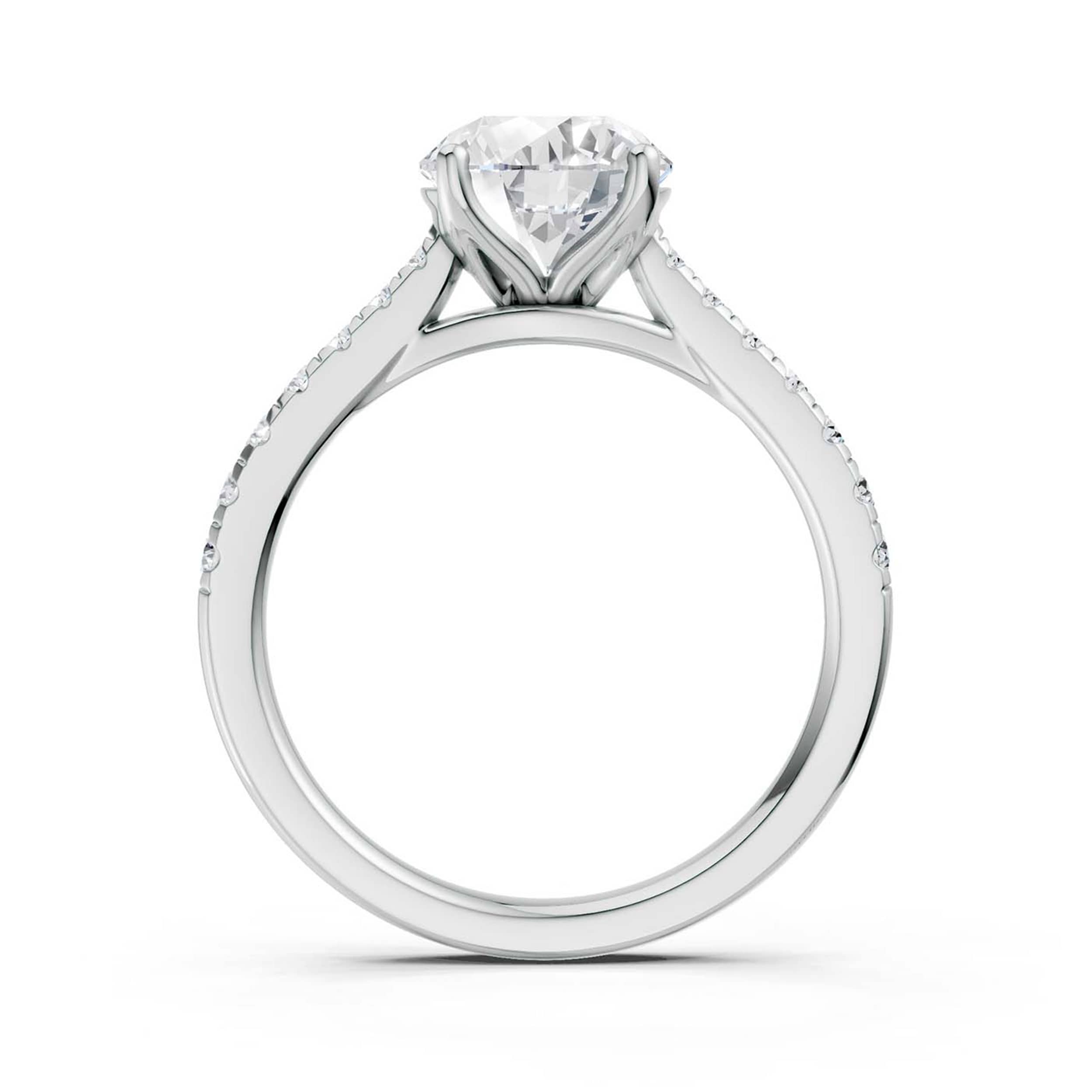 Lara ring, side view