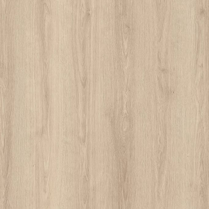 PERA COLLECTION Papatya