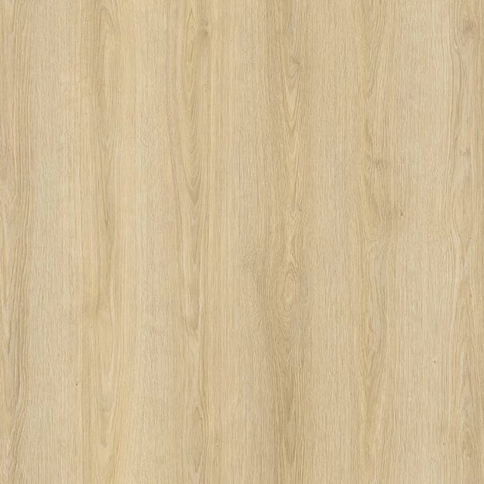 PERA COLLECTION Orkide