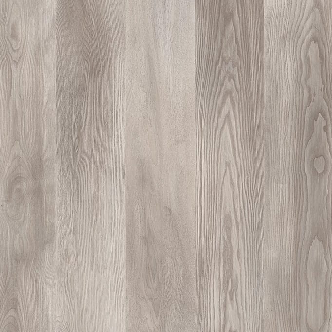 MARCO POLO PREMIUM Florida